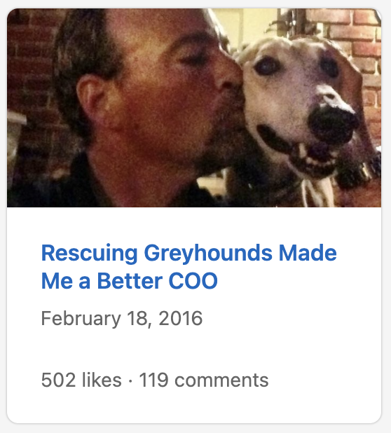 Rescuing Greyhounds Made Me a Better COO